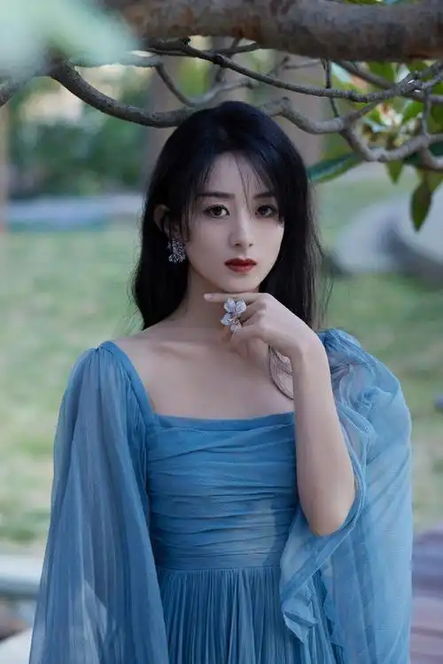 赵丽颖星光大赏