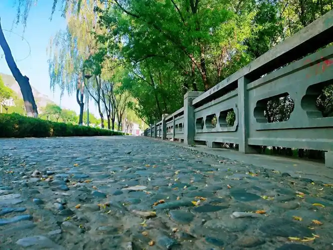 滨河路绿色长廊