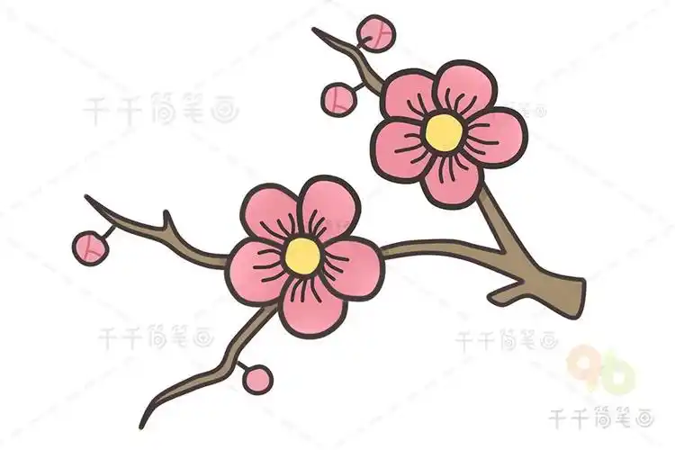 梅花的简笔画蜡笔画 简笔画图片大全-普车都