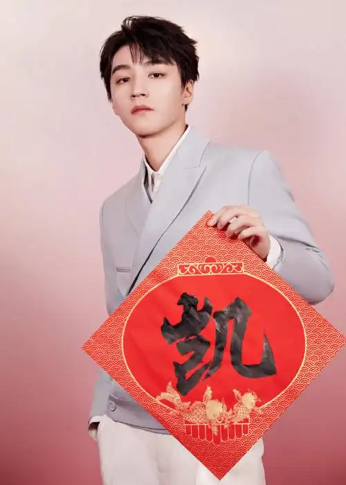 王俊凯央视春晚造型##春晚