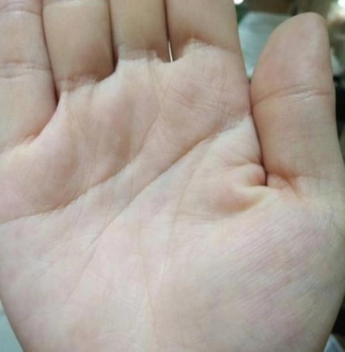 一生儿女福的手相晚年富贵多金儿女双全命超好