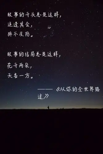 故事的结局总是这样,花开两朵,天各一方.——《从你的全世界路过》