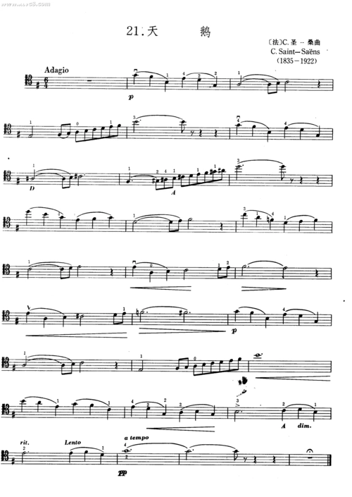 天鹅 提琴谱
