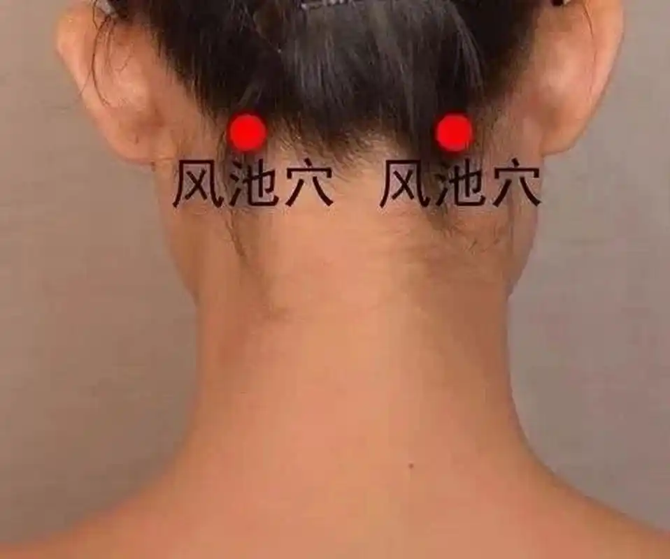 【风池穴】缓解头晕头痛 风池穴是一个祛风散寒,疏解头部经络,治疗