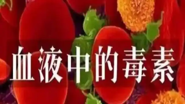 刮痧,让血毒从皮肤渗出来!__凤凰网