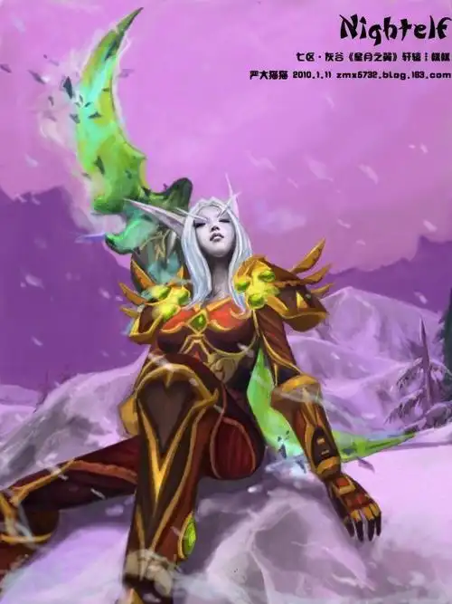 以后穿了皮衣的人类 暗夜 血精灵 盗贼哪个好看