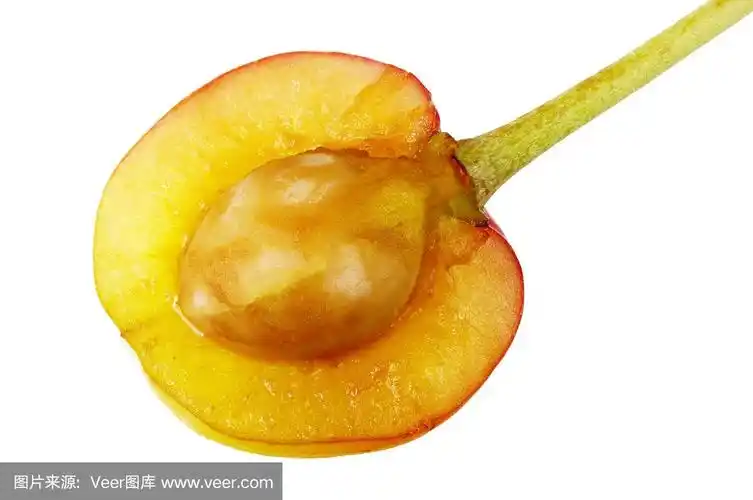 樱桃,开着的,红色,黄色,横截面