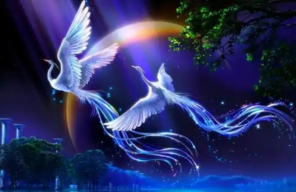 凤凰长什么样子 黑龙江有人拍到凤凰-b2少儿学习网