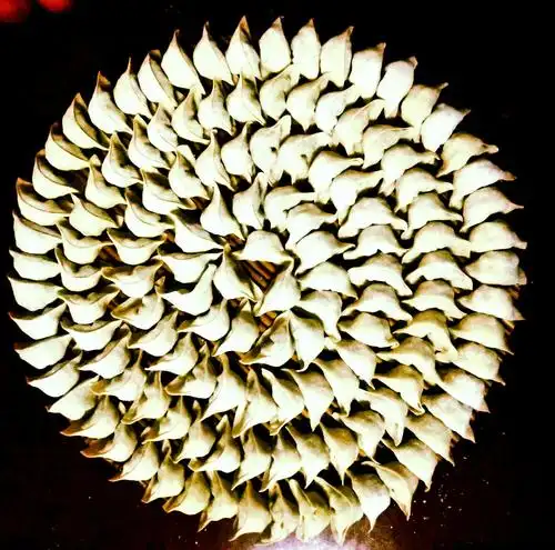 腊月廿七包饺子记