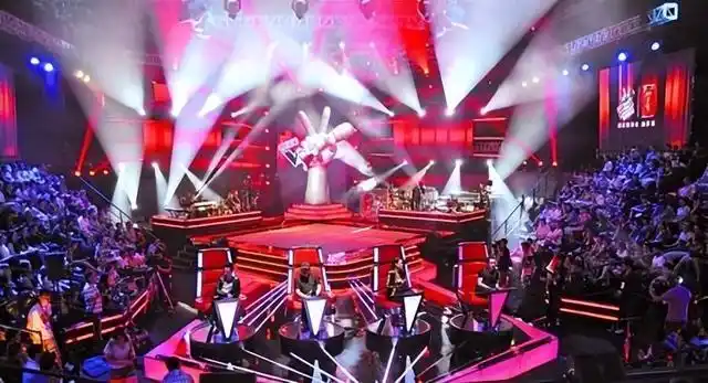 走到璀璨夺目的大舞台,从张碧晨到单依纯,可以说《中国好声音》是一