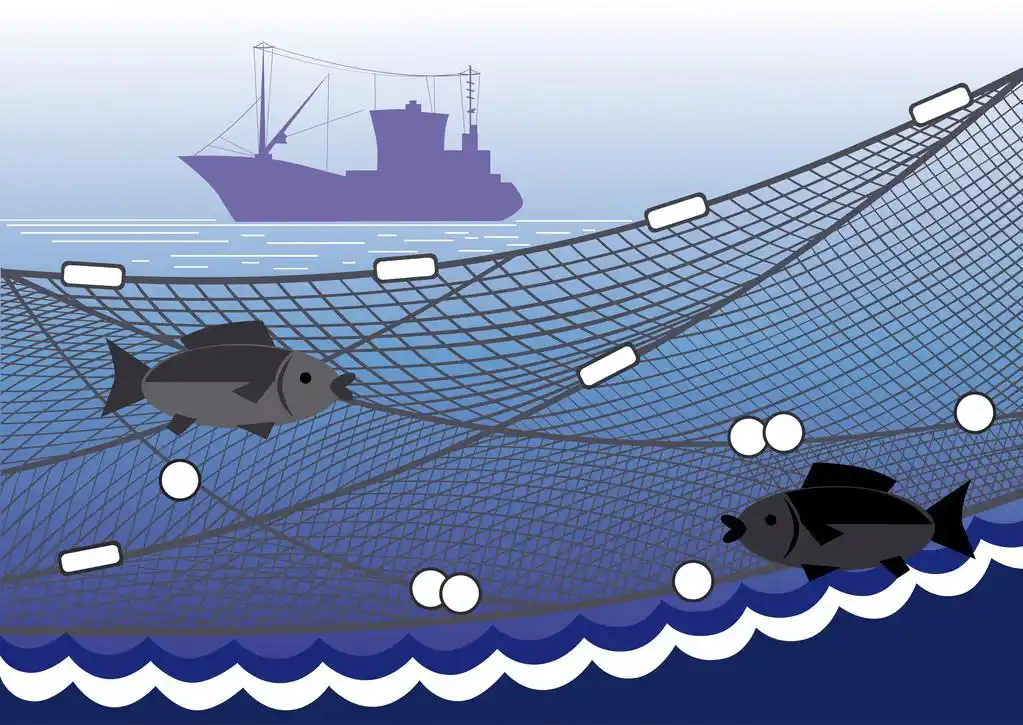 在海中捕鱼,围网渔船, 渔网, 两条鱼在大海的背景上的剪影.