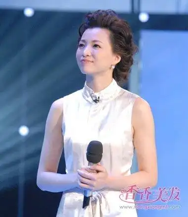 《中国诗词大会》董卿成"央视网红" 主持人董卿优雅盘发发型知性典雅