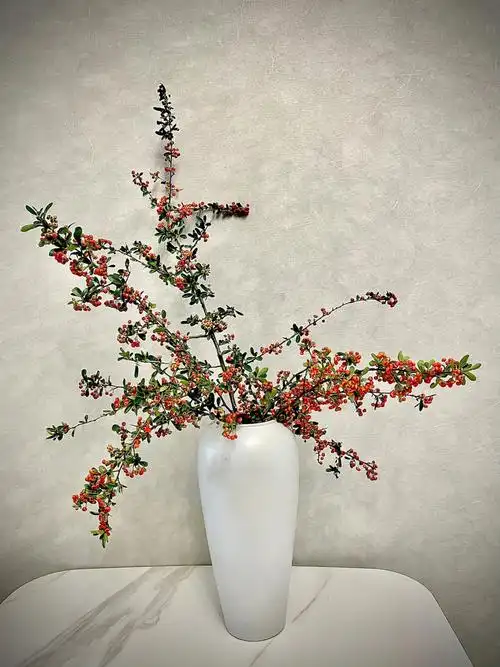 家居不可无花火棘果插瓶