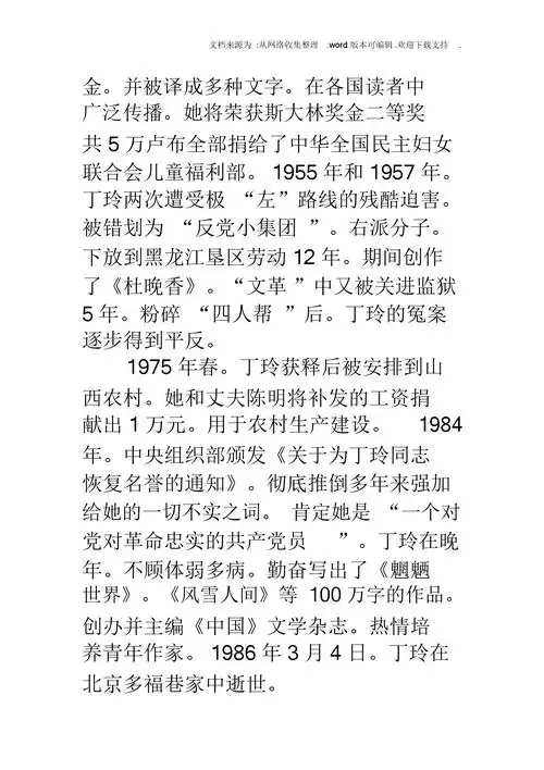 丁玲简介丁玲简介丁玲doc
