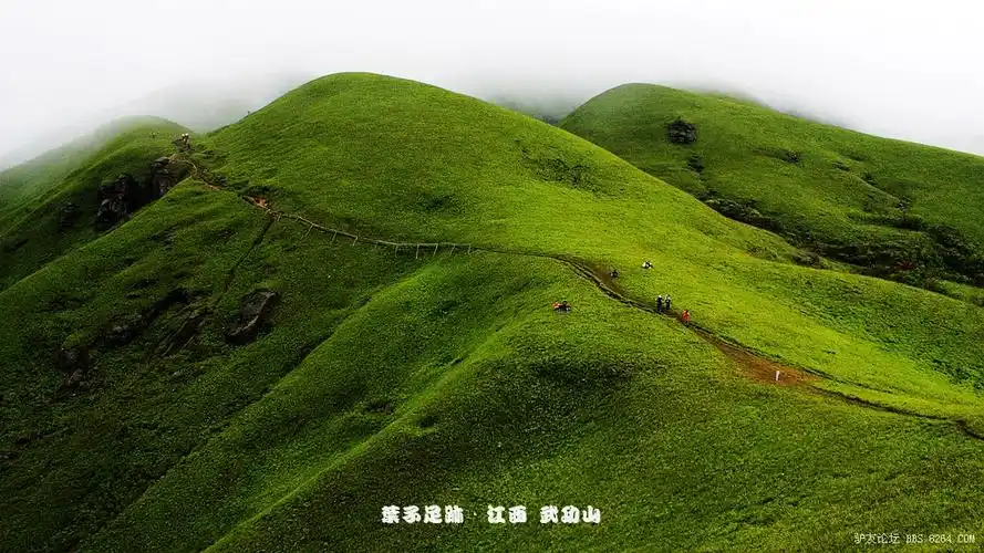 叶子足迹之江西武功山迷人的高山草甸