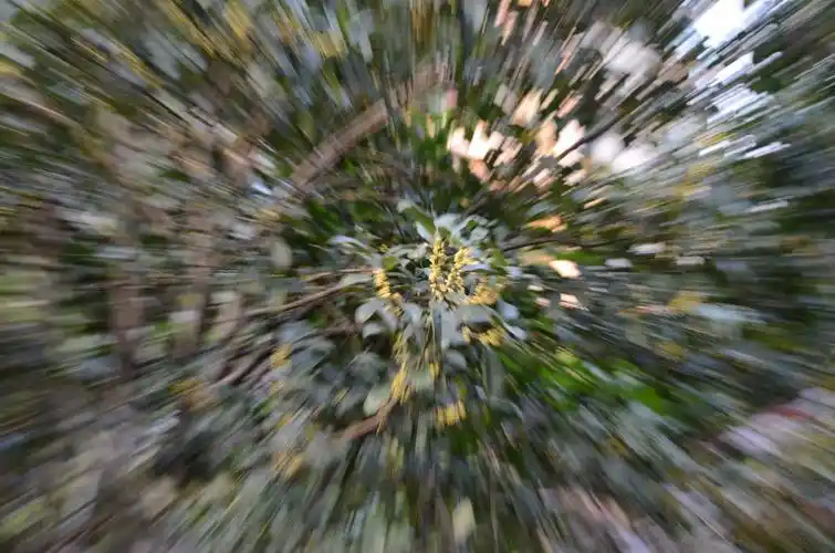 变焦法拍摄尝试