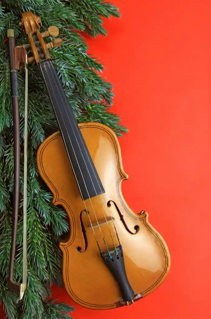 红色小提琴,美丽的微型小提琴与松枝上红