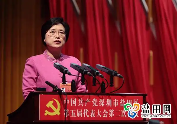 区委书记杜玲作报告