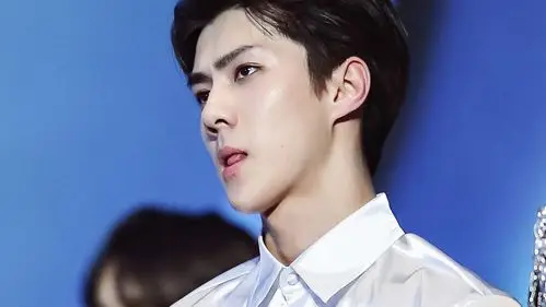 禁二改二传#橙光素材-吴世勋 by莱那那