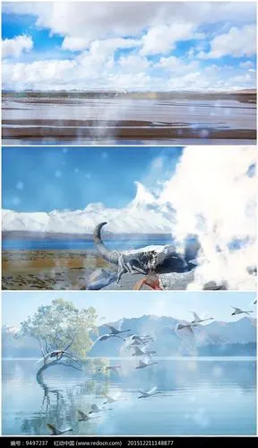 西海情歌舞台背景视频