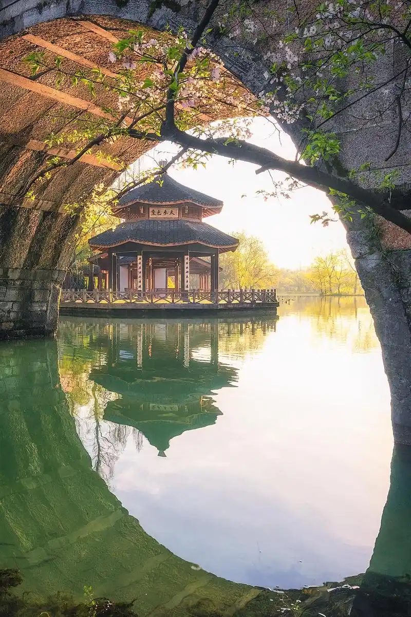 杭州西湖的春天 不仅仅有苏堤春晓柳浪闻莺还有看不够的樱花和春水