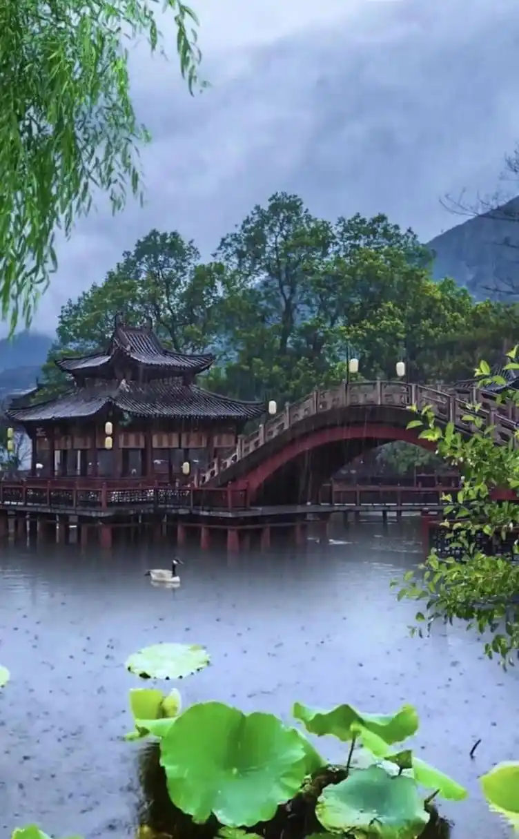 江南的雨, 是情思, 是恩宠, 是诗意; 烟雨的温柔, 像极了诗人笔下的