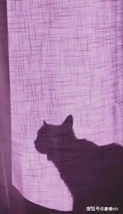 紫色系壁纸ins风高清全屏_紫色高清好看的全面屏壁纸