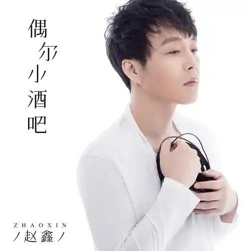 偶尔小酒吧_赵鑫__高音质在线试听_偶尔小酒吧歌词|歌曲下载_酷狗音乐