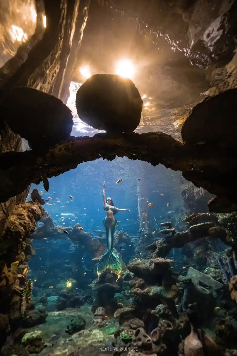 治愈系风景 #潜水女孩 #美人鱼 #水下摄影 - 抖音