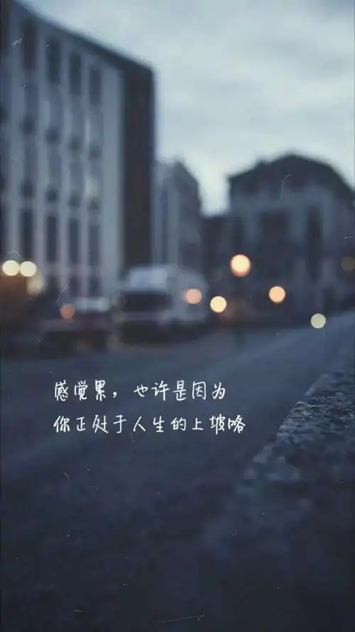 关于人生励志的句子优美,人生励志图片带字大全 - 唯美句子- 不二励志