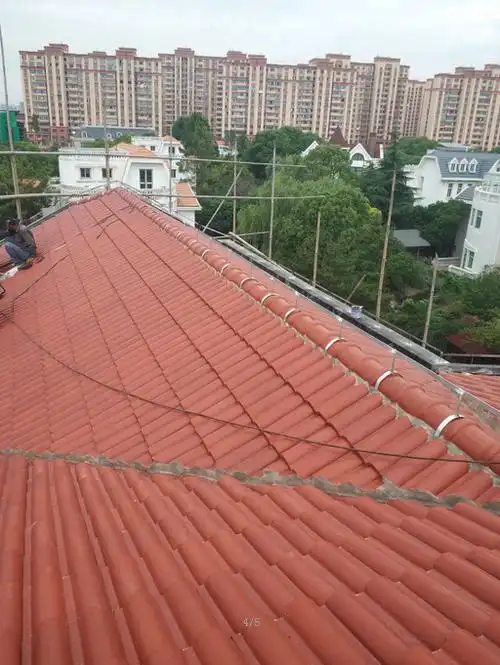 上海雷鲤电气有限公司