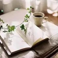 读书图片唯美意境头像_微信头像图片大全