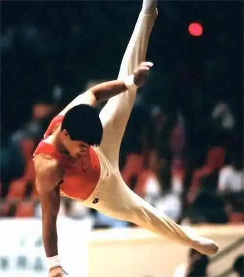 61岁体操王子李宁现况:独自提包现身巴黎,头发花白变成小老头