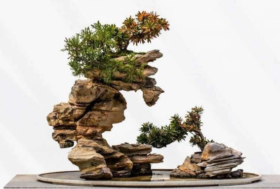 小型假山盆景怎么制作小型假山盆景的制作方式介绍