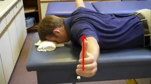 屈曲|斜方肌|俯立_网易订阅