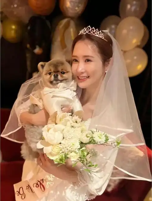 李多海婚鞋也太好看了,同款jimmychoo,梦幻吸睛,美得让人心动