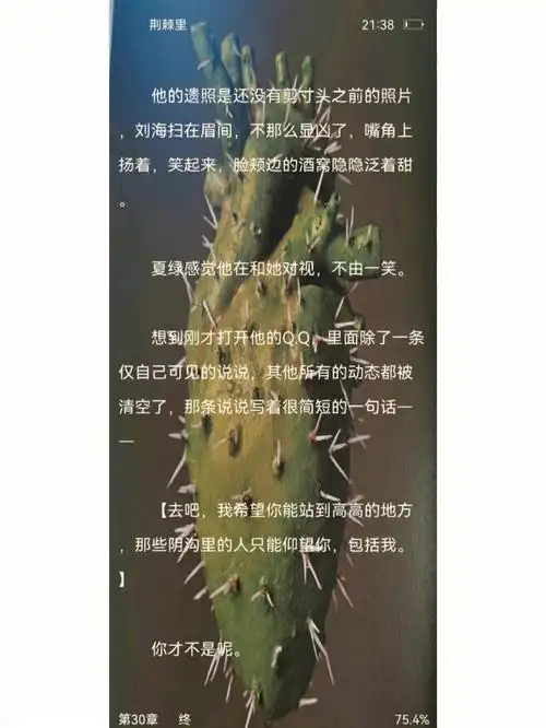 故事的结局刺猬独自留在了荆棘里