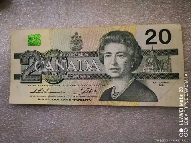 加拿大鸟版二十元