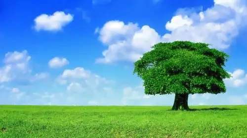 清新简约蓝天高清壁纸_还你一片干净蓝天