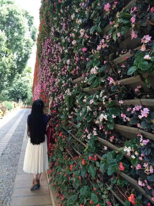 颜值不够高,所以转型背影系列.满墙壁的花儿.都是真花啊.