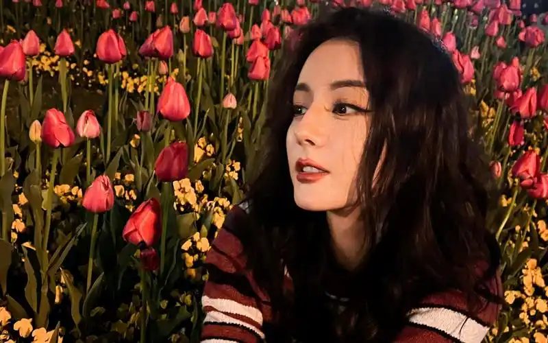 迪丽热巴,但亚比