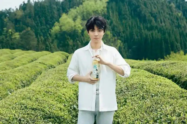 贵山贵水出好茶王俊凯溯源金尘茶万亩茶园