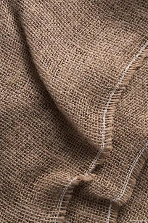 苎麻面料贵还是亚麻贵?