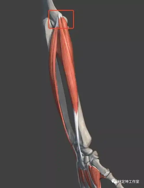 经常颈椎疼手臂痛腰酸你可能需要看看这个