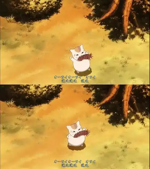 夏目友人帐 猫咪三三老师 夏目