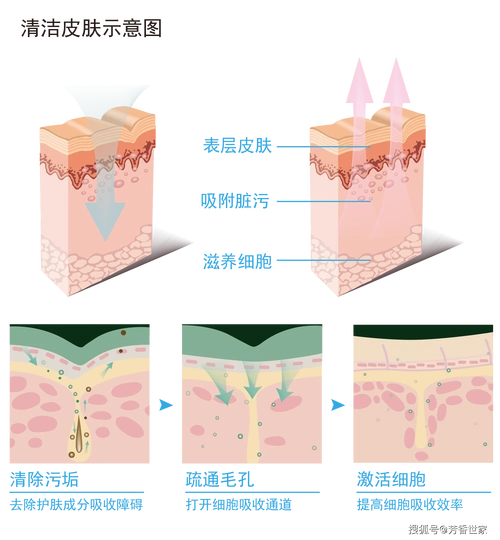 护肤第一步——清除肌肤微尘,带走毛孔污垢_皮肤_成分_表面