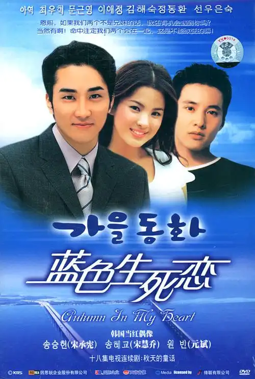 1999年,安在旭,金喜善主演的《泡沫爱情》播出,让这对金童玉女成为了