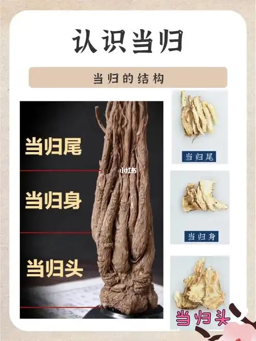 当归你吃对了吗