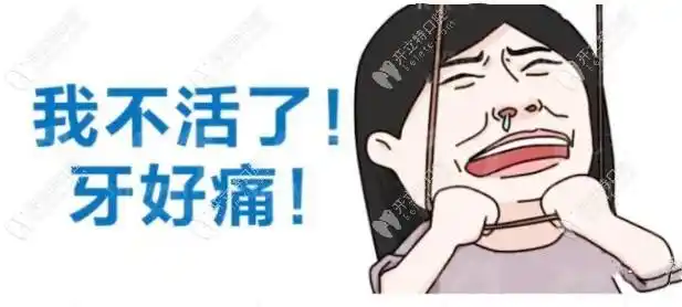 你说怪不怪,为啥晚上总是出现牙疼,更糟心的是大半夜的牙痛真是难受啊