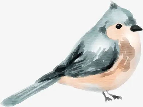 鸟儿手绘小鸟矢量图下载